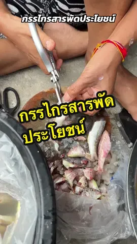 ใช้งานง่าย สะดวกสบาย หั่นหมู ไก่ ผัก เปิดขวด ได้หมด บอกเลยว่าได้ไปใช้งานเกินคุ้ม#กรรไกร #กรรไกรสแตนเลส #กรรไกรสารพัดประโยชน์ #กรรไกรหั่นผัก #กรรไกรตัดเนื้อ #ของดีบอกต่อ #ของใช้ในครัวเรือน #ของใช้ในครัว #ของใช้ในบ้าน #ป้ายยาtiktok #tiktokshopครีเอเตอร์ 