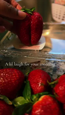 Damn I found a wild strawberry 🤣🤣🤣 everyone needs a lil laugh #funny #funnyvideos #wildstrawberry #strawberry #dance 