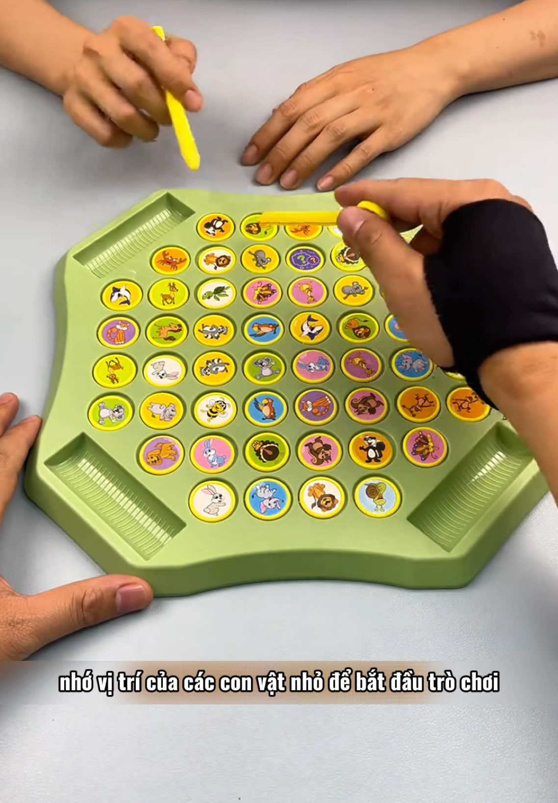 Đồ chơi trí tuệ cờ nhớ hình đôi #dochoitritue #dochoithongminh #fpy #xuhuong 