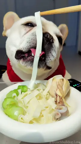 It is really good at eating noodles#fyp #frenchbulldog #doglover #pet #eating #asmr #mukbang #cutepetdebutplant