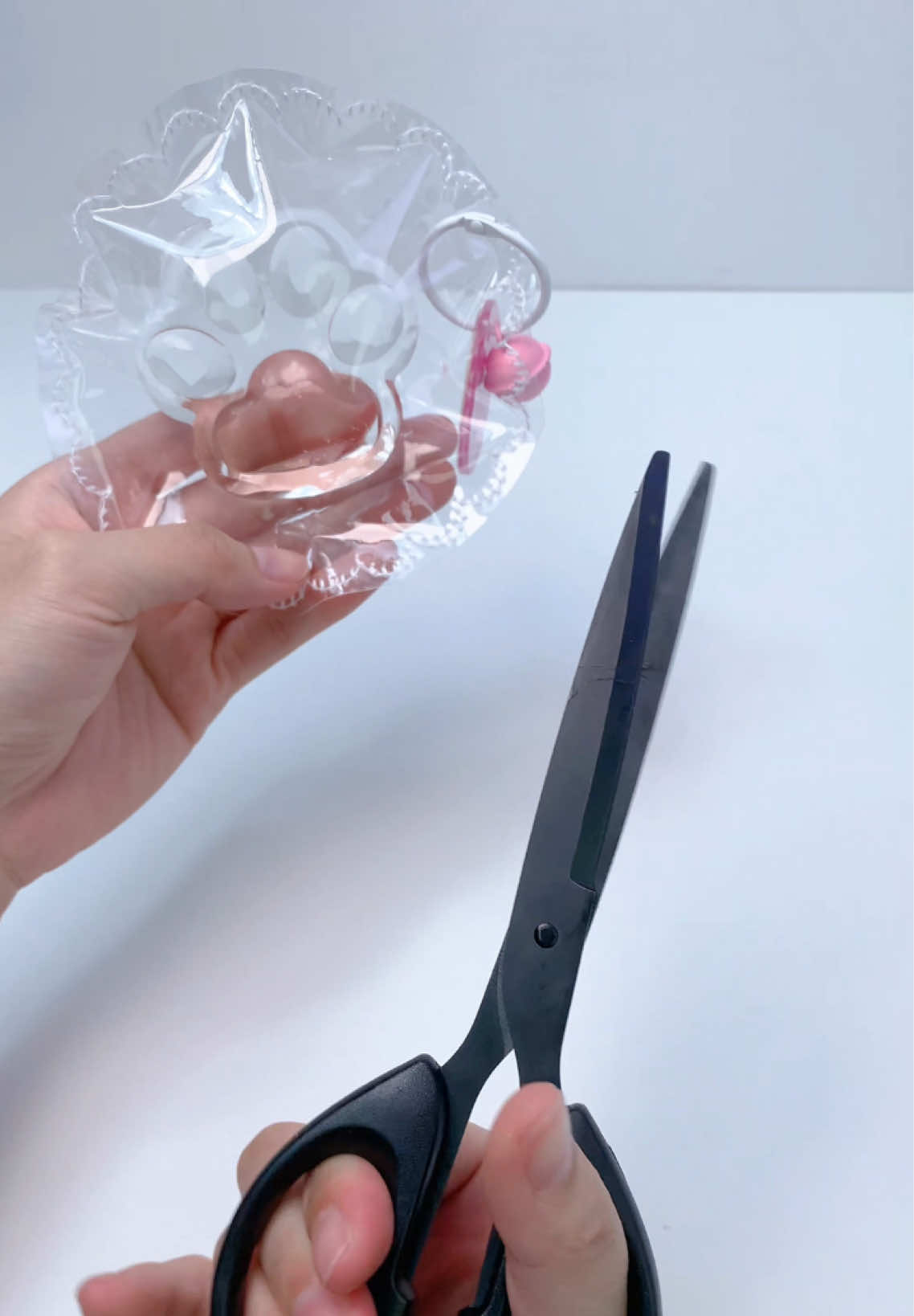 FUFUSQUISHY ASMR 🐾🐾Transparent Cat Paw