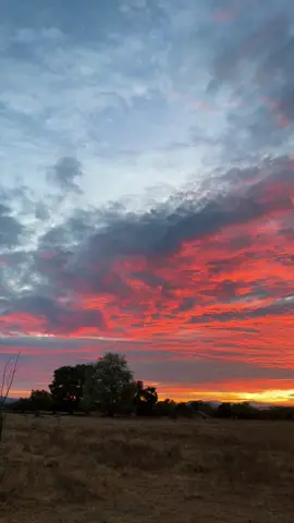 #ယနေ့နေဝင်ချိန်တွေ အရမ်းလှ🥰#mobilephoto #sunset#bagan #flypシ #foryoupage #baganmyanmar #tiktok 