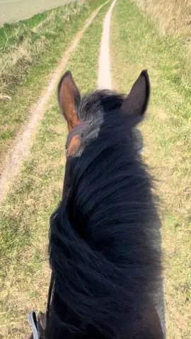 My live couldn’t be better💕💕 #pony #buitenrit #fyyy #fypppppppppppppp #fyppp #fyp?fyp?fyp?fyp?fyp? 