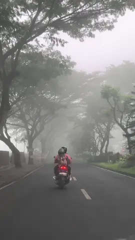 malang dengan kabutnya 🤍#malang #malang24jam #fyp #foryoupage #videoaesthetic #malangvibes #vibessad #judika 
