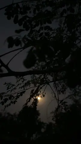 কিছুক্ষন চাঁদ দেখলে আনন্দ লাগে,আর অনেকক্ষন চাঁদ দেখলে নিজেকে অসহায় লাগে💔🖤#foryoupageofficiall❤️❤️tiktoklover❤️❤️ #foryoupageofficiall❤️❤️tiktoklover❤️👈🤣🤣l #bdtiktokofficial #foryoupageofficiall❤️❤️tiktoklover❤️❤️by #foryou #foryoupageofficiall 