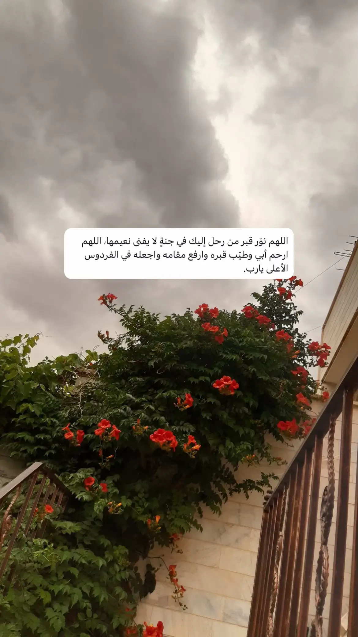 #مالي_خلق_احط_هاشتاقات #اكسبلور #اكسبلوررررر #اكسبلورexplore #فقيدي_أبي #مشاهير_تيك_توك #مشاهدات #اكسبلور؟ #فقيدي_اشتقت_ٳليك 