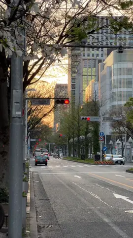 Semangat berproses kawan kawan #kenshuseijapan🇮🇩🇯🇵🎌 #kensusei🇮🇩🇯🇵 #kerjajepang #magangjepang #kensuseijapan🇮🇩🇯🇵 #kerjajepang🇮🇩🇯🇵 #japanvibes #pedesaan #aesthetic 