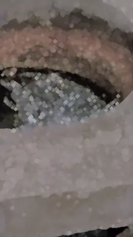 darala po for you🥷🥷❤️‍🔥🦅🦅@𓄂ᵂᶠ᭄𝘴𝓲ꪀᧁꪶꫀ @🌹♥️DaWood-Khan😘🌹 