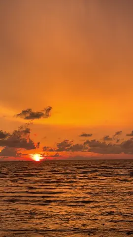 Hallo#mangu #vibes #sansed #senjasorehari #fypシ゚ #astetic #pantai #laguviral 