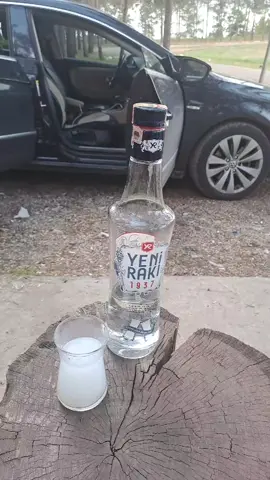 #kesfet #tiktokbenigöröneçıkar #orman #daglardağlar #umut #özlem 