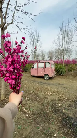 Comfortable drama in the tricycle in the afternoon #tricycle #glamping #limousine #cozyspace #fyp #relax #minicar #asmr #campinglife #Outdoors #roast #electriccar 