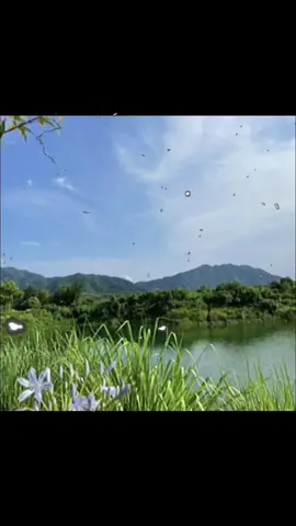 сынок 150+150 #сынок #чоза #треки #футажи #spotify #липсинг #музыка #music #spotifywrapped #songs #speedsongs #песни #overlay #fyp 