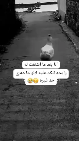 #لازم تكون في فقره من النكد🌚 🤭👈👉 #واللي بحبك بنكد عليك اصلاً النكد جزء من الحب 🤭♥️