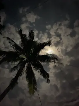 কিছু সময় চাঁদ দেখলে আনন্দ লাগে , আর কিছু সময় খারাপ লাগে 🙂❤️‍🩹 #foryoupage #fyp #tiktokbangladesh #bdtiktokofficial🇧🇩 #unfrezzmyaccount #ayansutra928 @TikTok @TikTok Bangladesh 