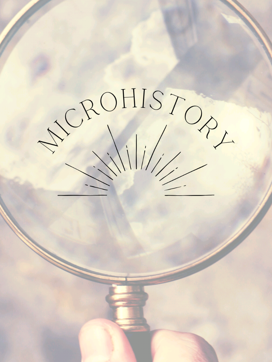 Microhistory books covering murder, duels, pirates and other historical topics! #historybooks #History #nonfiction #HistoryTime #TikTokLearningCampaign 