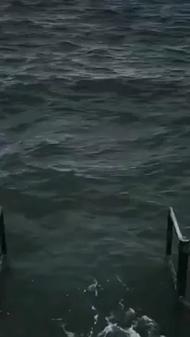 kẻ hủy diệt loài mèo #troll #loaimeoxamchiem 