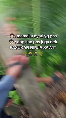 kan itu PNS juga dek😂🤭 #kelapasawit  #ninja #fyppppppppppppppppppppppp 