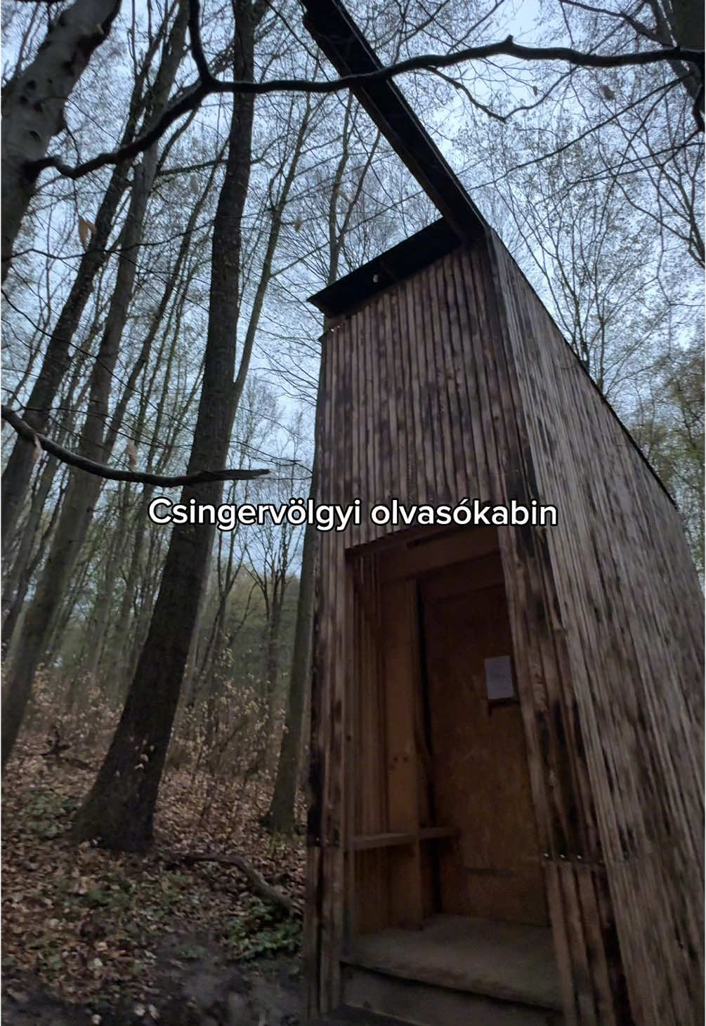 📍 Ez itt a Csingervölgyi olvasókabin – egy rejtett erdei kabin a Bakony szívében.🧙🏽‍♀️ Tökéletes megálló egy túra közben, ha csendet, elvonulást keresel. Nincs zaj, csak fák, könyvek és nyugalom. #welovebalaton #balaton #bakony #csingervölgy #kabin #bivak #szállás #erdeikabin #utazzitthon #túraajánló #hovamenjünk 