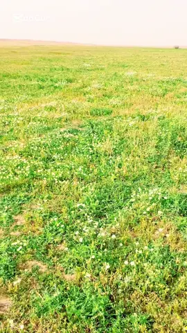 #هشتاق_بحر_اكسسسسبلوور 