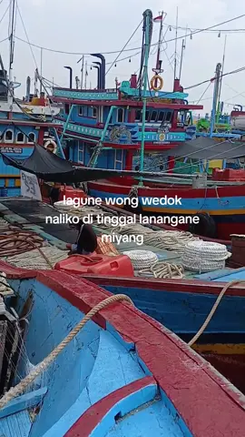 #kapalcantrang #nelayanindonesia # #kapal  #cantrang #nelayan  #masukberandafyp #xzyabc  #nelayanjuwanapati #fypシ 