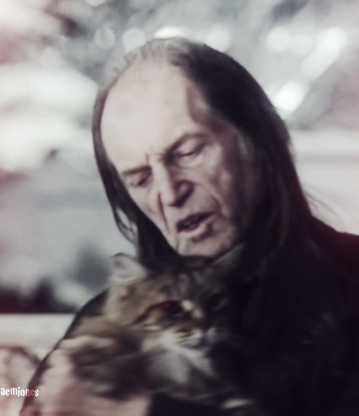 SUAVEEEEE #harrypotter #yuleball 