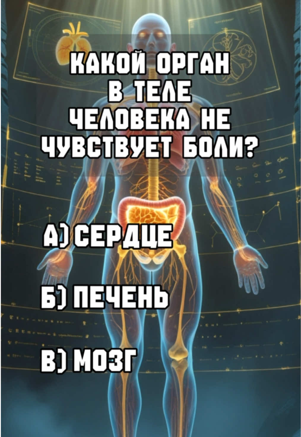 Викторина «Вопросы по Анатомии» #викторина #вопросы #анатомия 