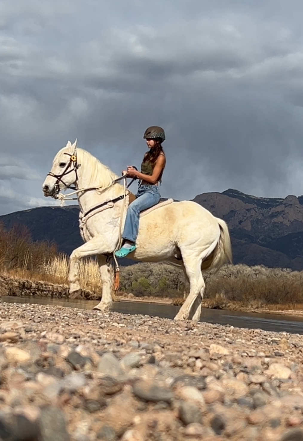 Like I’m fairly confident this is the case #horses #western #fypシ #equestrian #princewhimpyjuniperthefourth @Lexi Rae 