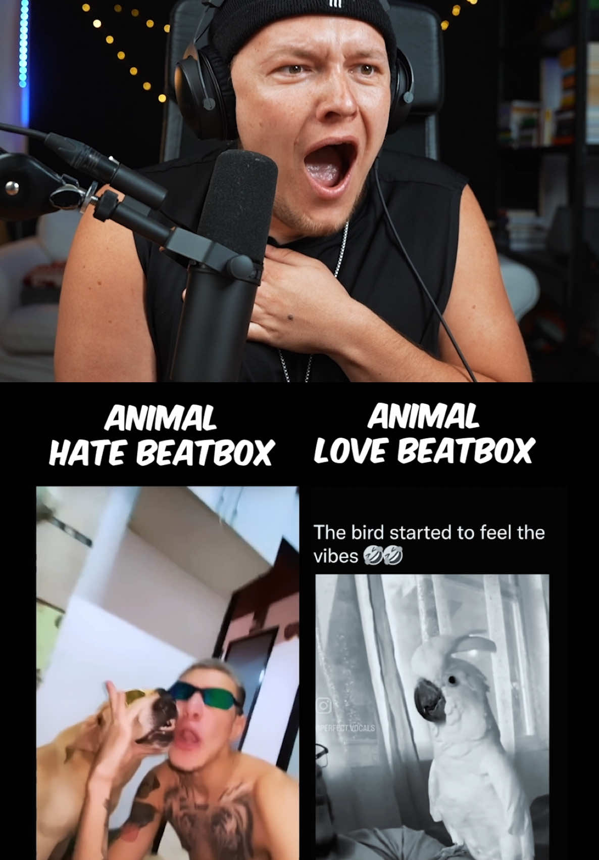 Animal hates Beatbox vs Animal loves Beatbox #beatbox
