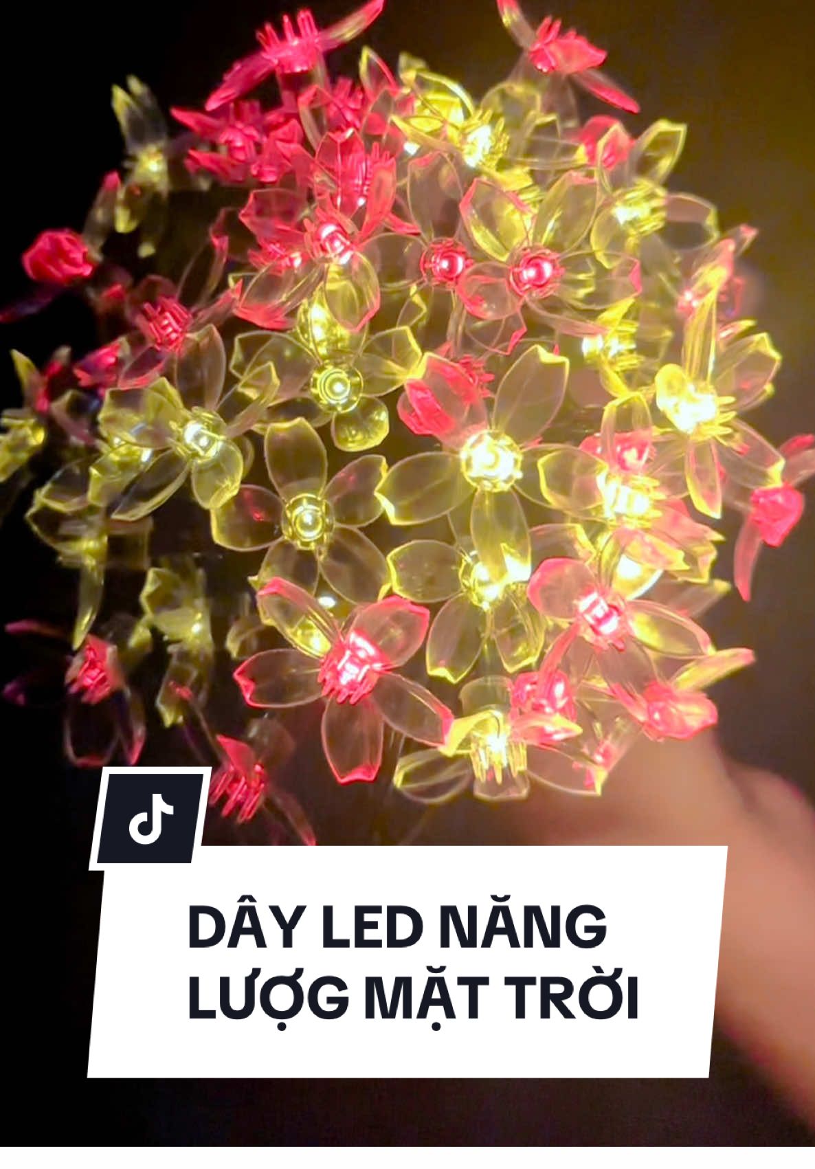 Dây led năng lượng mặt trời sáng xuyên đêm,nhiều chế độ tuỳ chọn, kích thước màu sắc đa dạng 🎶#xuhuong #dennangluongmattroi 
