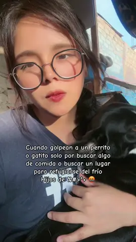 Hijos de la gran &$@#%🤬 #noalmaltratoanimal 