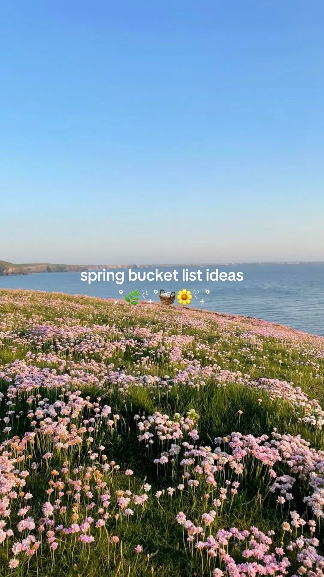 send to your besties that you wanna do this with 🥰💗 #spring #inspo #pinterest #aesthetic #bucketlist #friends #girlythings #fyp #xyzbca 