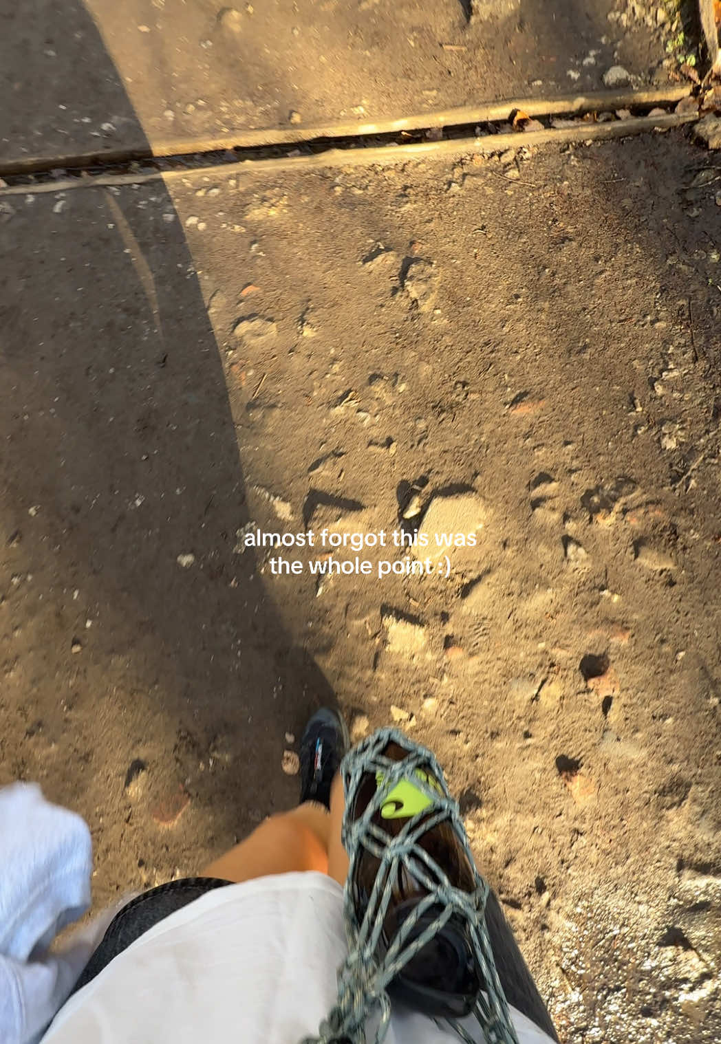 the sun is out and i am alive once again 🌞🌞🌞🌞🌞