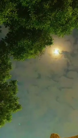 إِلهِي أَنْتَ الَّذِيْ بِأَسْمائِكَ يَبْرَأُ كُلُّ عَلِيلٍ، وَيُشْفى كُلُّ مَرِيضٍ وَيُسْقَى كُلُّ ظَمْآنٍ، وَيُعَزُّ كُلُّ ذَلِيلٍ وَيَتنوَّرُ كُلُّ ظلْمَةٍ وَيَفْرَحُ كُلُّ مَحْزُونٍ ، بِأَنْ تُنَزِّلَ فِي هذا اللَّيْلِ مِنْ  رَحْمتك ..على  كُلُّ مَرِيضٍ اسْتَظَلَ فِي ظِلِّ شَجَرَةِ شِفائِكَ ثُمَّ أَلْبِسْهُ  يا إِلهِي مِنْ فَضْلِكَ قَمِيصَ العافِيَةِ ثُمَّ احْفَظْهُ  عَنْ كُلِّ بَلاءٍ وَسَقَمٍ وَمَكْرُوهٍ  إنَّكَ عَلَى ذلِكَ لَقَدِيرٌ حَكِيمٌ #يارب #fypシ #viral #fyp #foryou #tiktoktravel 