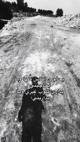 #عبارات #شعراء_وذواقين_الشعر_الشعبي🎸 #ديوانيه 