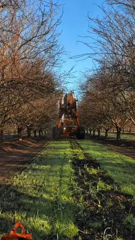 Máy cắt tỉa cành nhanh gọn  #xuhuong #excavator #operator_excavator #excavatrice 