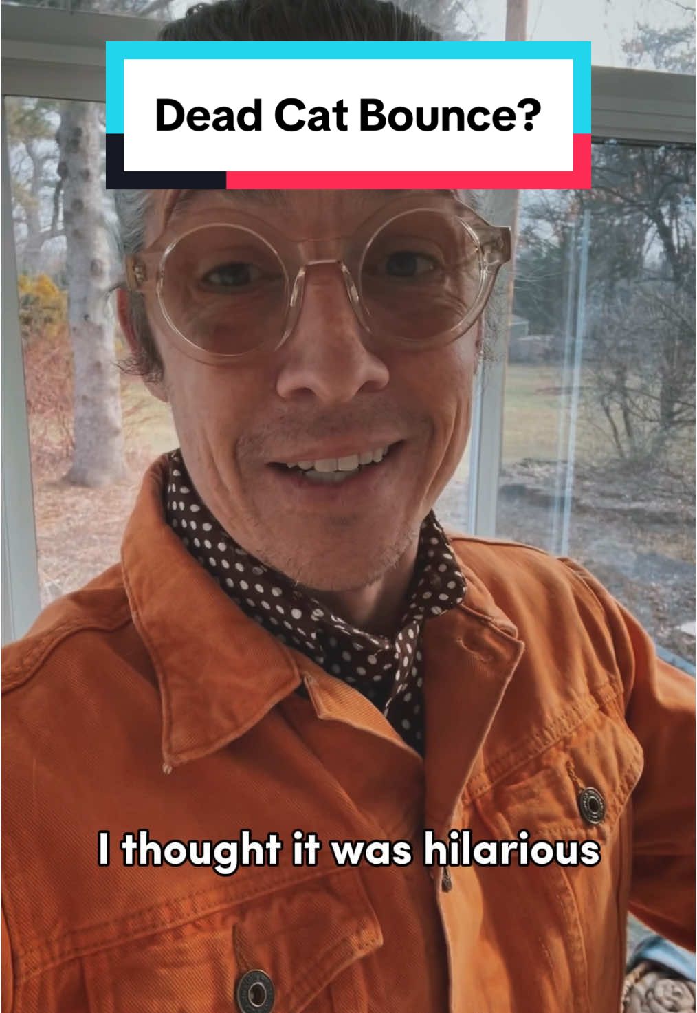 What is a dead cat bounce?