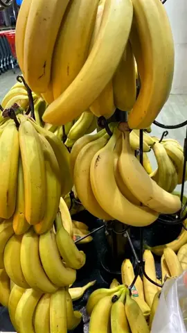 All I wanted was a banana 🍌… but life gave me a jump scare 🐍😳 #magichourai #madewithmagichour #magichourillusions #wild #wildanimals #animals #banana #fruit #transformation #ai #aivideo #aigenerated #trending #viraltiktok #fypシ゚viral 