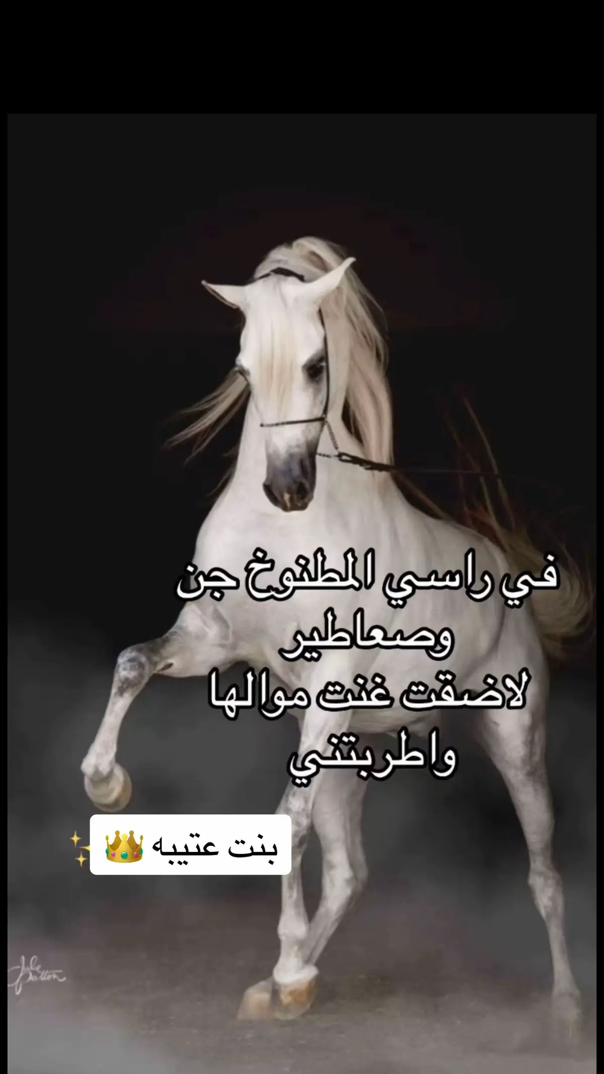 #بنت عتيبه 👑#شاعره #الهيلا_عتيبه #كبرياء_انثى🖤 #قصايد_شعر_خواطر #برقا_روق_عتيبه #عزوتي_وتاج_راسي #العصيمي #ربعي_ياربعي #fyp #اكسبلورexplore 