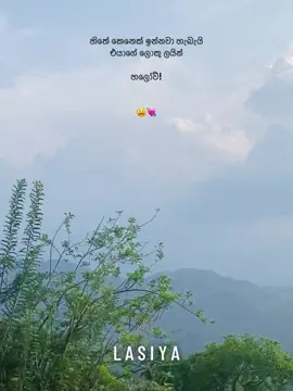 ඔව්! 😭💘 #foryou #fyyyyyyyyyyyyyyyy #viral #trending #fypシ゚ #Lasiya👁️ #quotes #foryoupage❤️❤️ #onemillionaudition #srilankan_tik_tok🇱🇰 #viraltiktok  @shehanjyani💕 