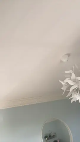 hayses ❤️ #ben❤️ 