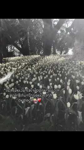 #ฟิดดดดดดดดดดด🥺 #2010 #สาวน้อยเพชรบ้านแพง #เธรดคําพูด #ລີແລ້ວລວຍ💸 #ยืมลงสตอรี่ได้ #เก่งภาษากับtiktok #กดใจหน่อย #ฟีดเถอะขอร้อง 