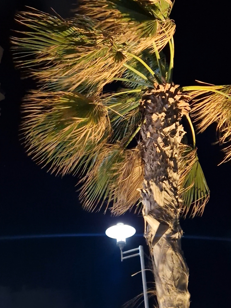 اللي وزنه اقل من ٧٠ ك ميطلعش علي البحر علشان هيطير 🌪😅 #شتاء_الإسكندرية 🌧