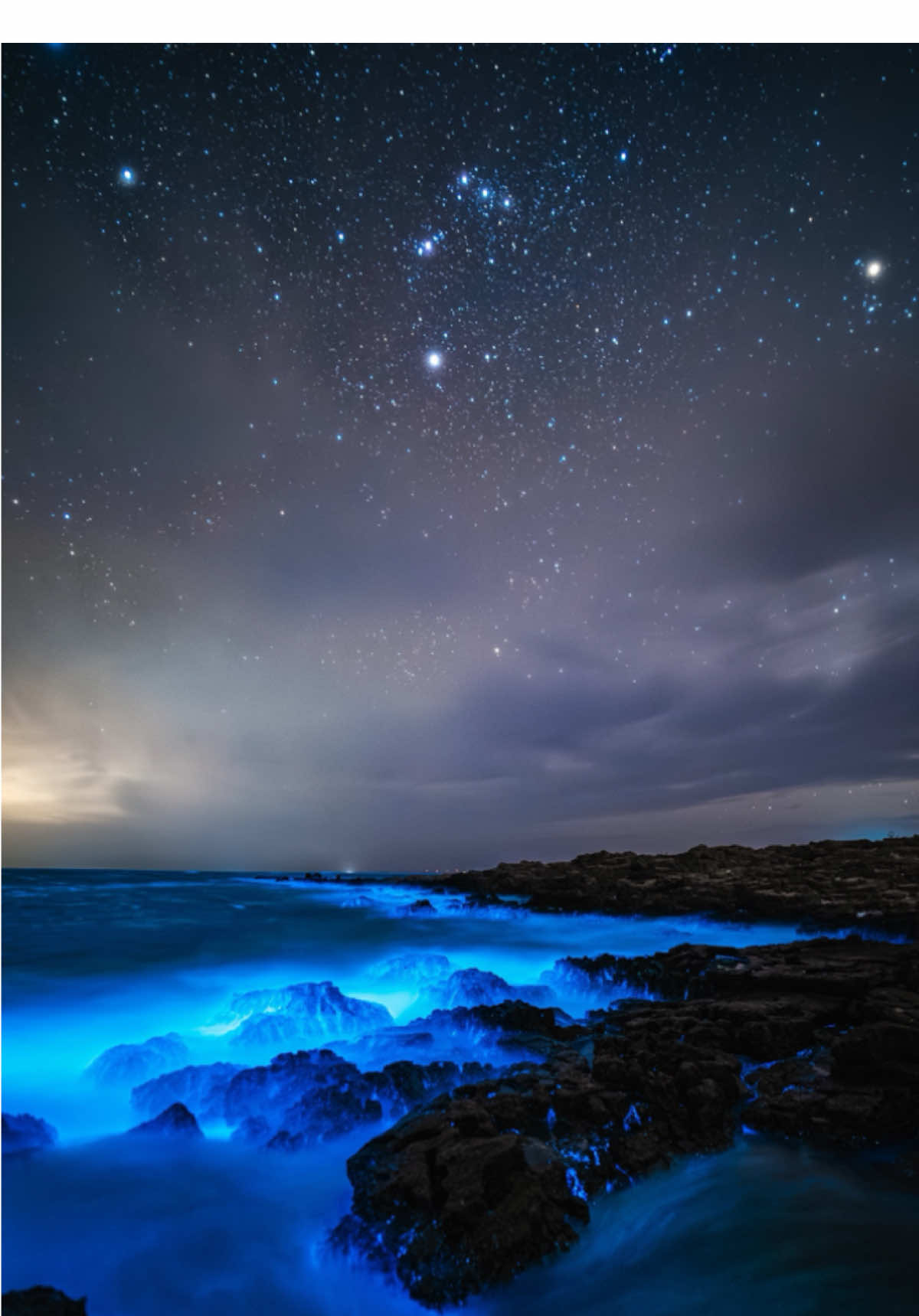 ليلة لا تُنسى… البحر يتوهج بلون أزرق ساحر بفضل التلألؤ البيولوجي، والسماء تزينها آلاف النجوم. سحر كوني على الأرض! بحر عُمان 🇴🇲 : #foryou #fyp #bioluminescence #stargazing #nightmagic #naturelovers #oman #sea #stars #nightvibes #glow #طبيعة #تأمل #ظواهر_طبيعية