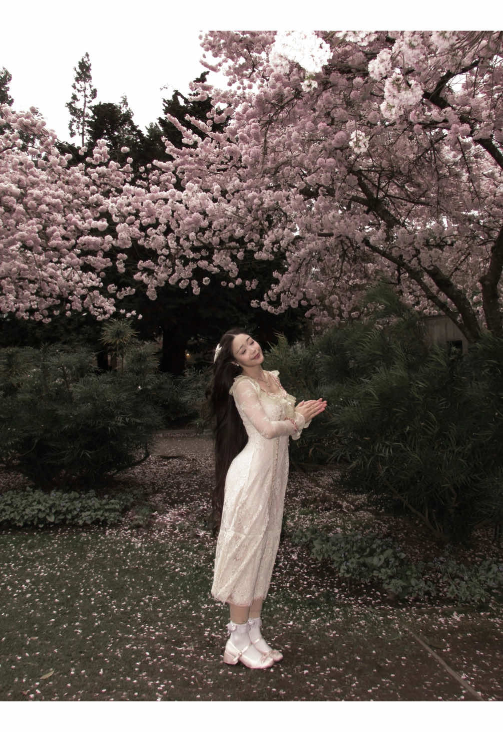 °❀⋆sakura season.ೃ࿔*:･ #cherryblossom #sakurabloom #livingdoll #springfashion #springvibes #dollcore #cherryblossomseason  #creatorsearchinsights #longhairgoals #coquettecore 
