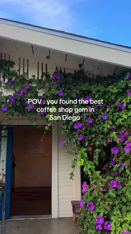It was so cute and cozy!! #fyp #coffeeshop #sandiego #coffee #hiddengems 