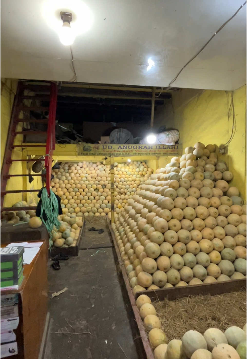 Jos melon ngawi#bandung #tasikmalaya #info #fy #fyp #foryou 