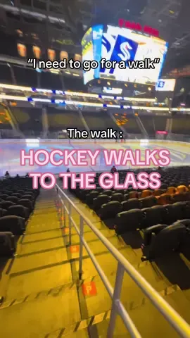 Nothing like a walk down to the glass 🤩 @Vegas Golden Knights #hockey #vegas #vegasgoldenknights #hockeytiktoks #NHL #lasvegas 