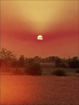 #viral_video @tiktok creators @TikTok @𝙈𝙪𝙧𝙨𝙝𝙞𝙙 𝙬𝙧𝙞𝙩𝙚𝙨 