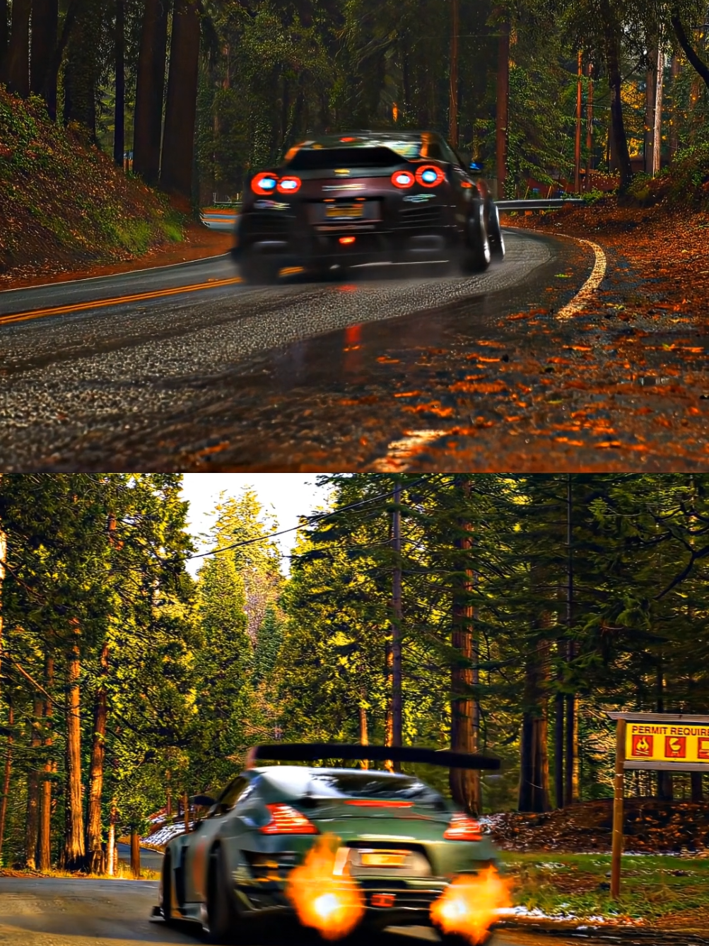 🗣Carrousel 🎶 | 🎥@Brennan Wright | #car #nissan #nature #370z #skyline #edit 