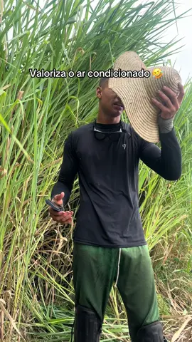 Cadê quem meche com vinhaça?